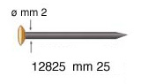 Hardened steel nails, brass head, 25 mm - Pack 100