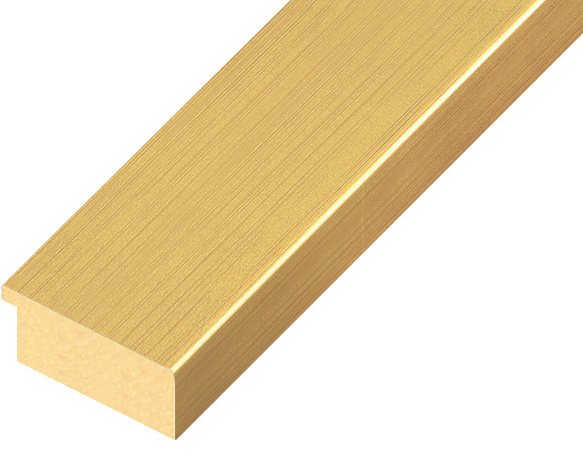 Moulding ayous, width 40mm height 16 - gold